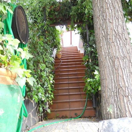 Pension Barrio フエンテエリドス エクステリア 写真
