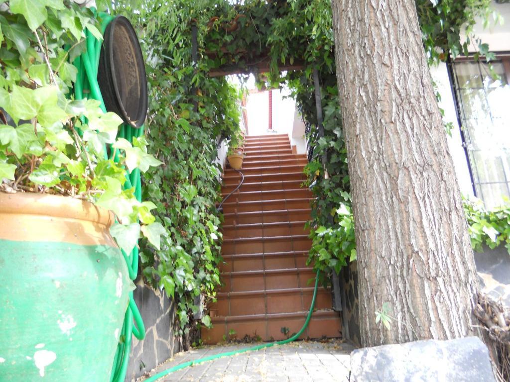 Pension Barrio フエンテエリドス エクステリア 写真